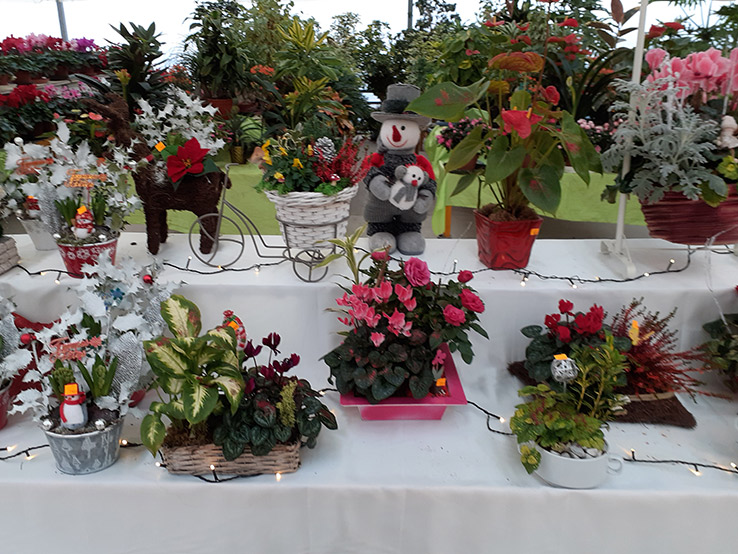 Jardinerie à Pouilloux