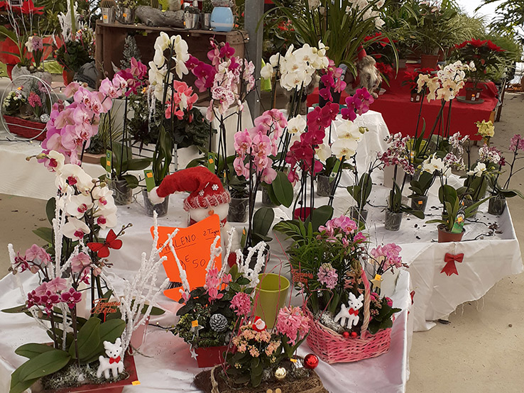 Jardinerie à Pouilloux